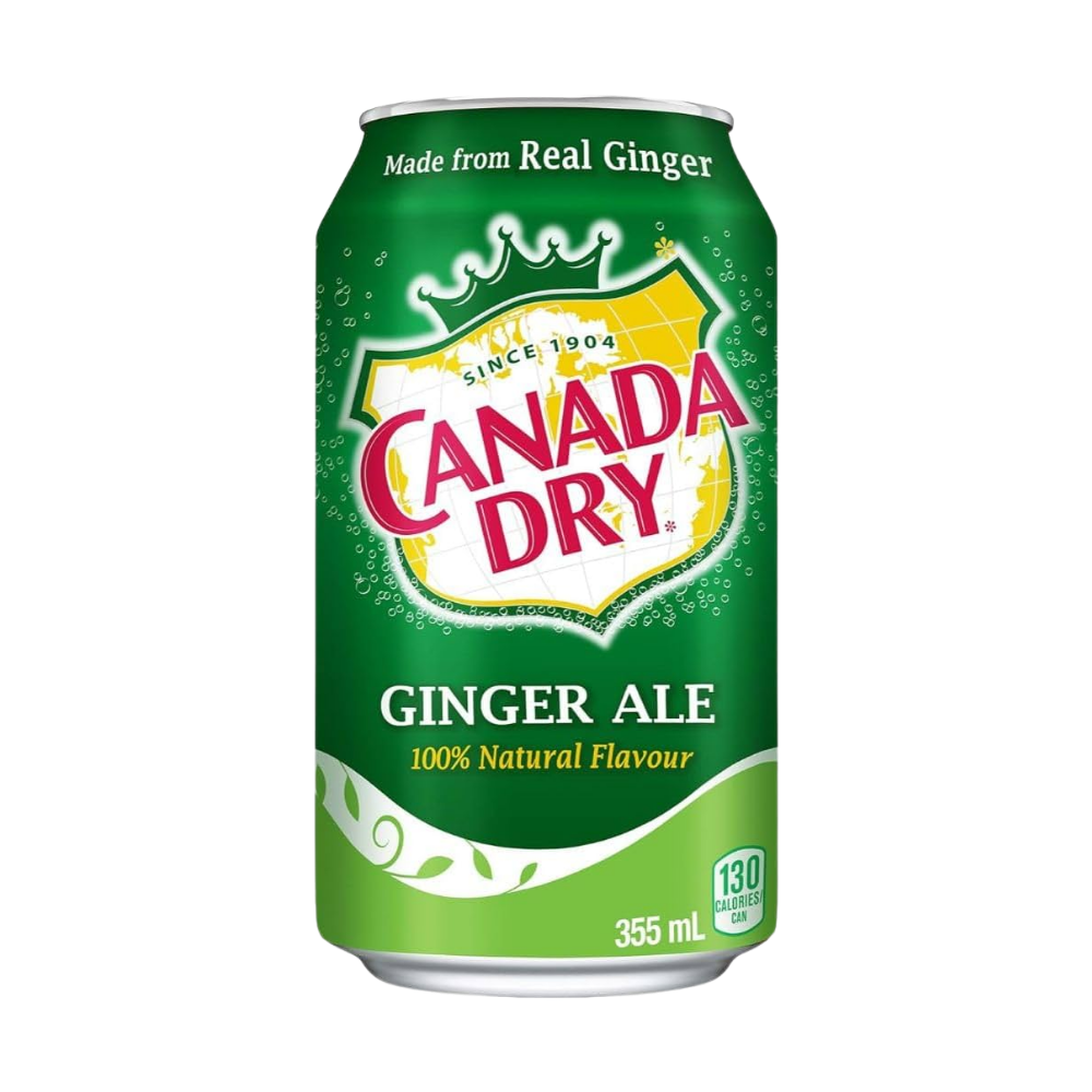 CANADA DRY GINGER CANS 24 X 150ML