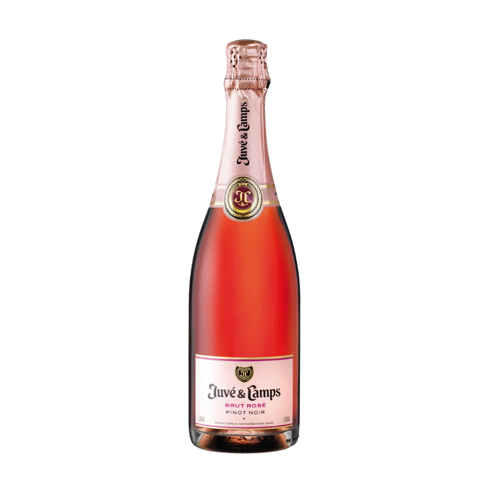 JUVE & CAMPS PINOT NOIR ROSADO 750ML